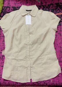 Striped Button-Down Shirt