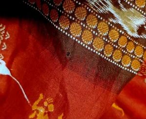 Beautiful ikkat cotton saree