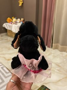 Cute Plush Dog with Tutu