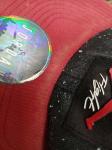 Jordan Flight Cap