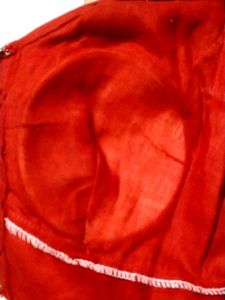 Red &amp; Gold Sari Blouse