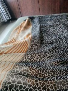 Elegant Saree with Unique Print