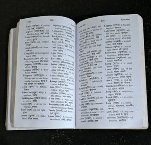 English to Hindi Dictionary
