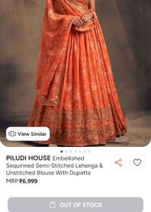 PILUDI HOUSE  Embellished Sequence Lehenga Set