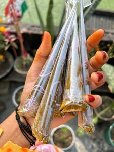 4 Henna Cones - Natural Mehndi