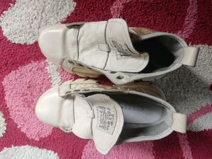 Cream Shoe