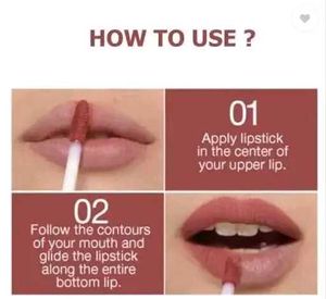 Combo Set Of 12 Lipstick Shades Piece...