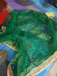Elegant Green &amp; Gold Embellished Dupatta
