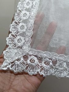 Pure Organza Dupatta With Lace All Border