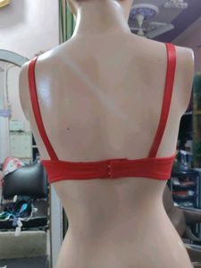 Red Embroidered Bra