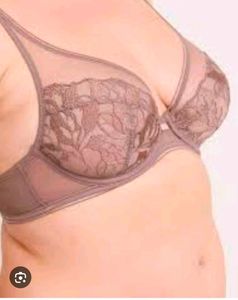 Elegant Lace Bra with beautiful brief 👍