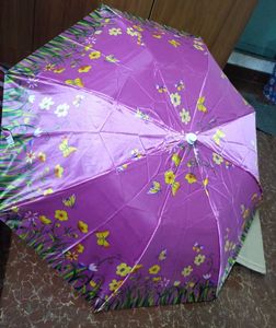 Brand New Umbrellas @ Low Price
