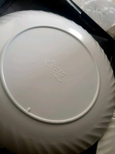 Elegant Floral Dinner Plate 2