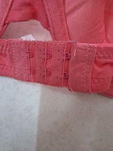 36C Coral Lace Trim Bra