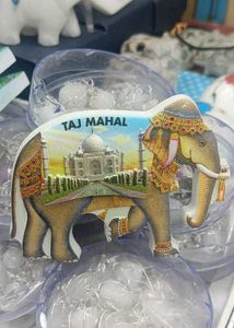 Lotus Temple Delhi Fridge Magnet