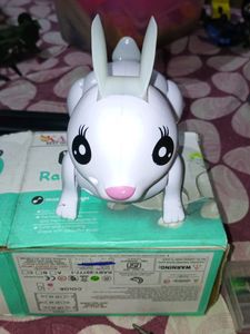 Rabbit