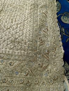 Embellished saree