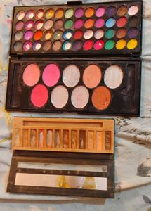 eye shadow pallete and blush