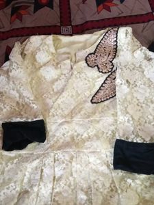 Elegant Lace Ethnic Gown