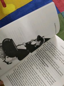 Kids Story book Flamingo in Vamprickle Land Witch