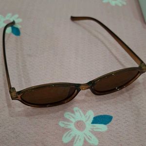 Classic Brown Oval Sunglasses