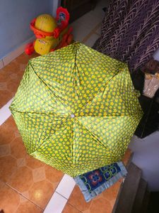 umbrella beautiful green color