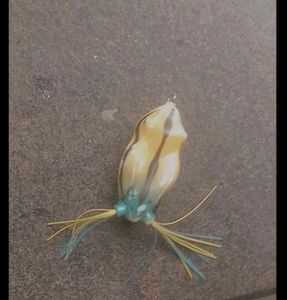 Fishing frog
