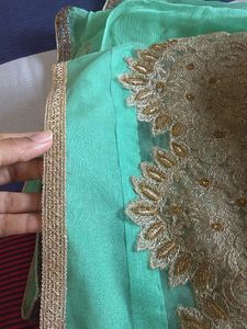 Elegant Mint Green Saree with Gold Embroidery