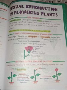 Botany Med Easy Handwritten Notes for neet