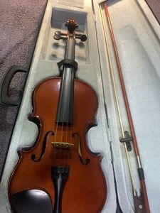 Professional Violin Case