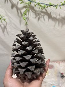 Natural Pine Cone Decor