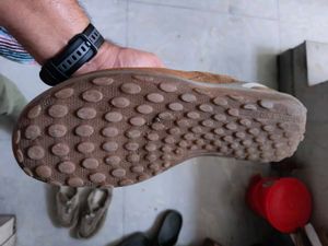 Woodland New Shoes