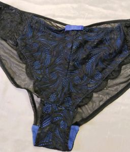 Brief/ Transparent Brief