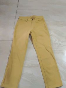 Yellow Classic Fit Trousers/Jeggings