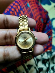 Elegant Gold Sonata Watch