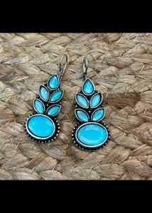 Drop Earrings (Available in 5 other colours)