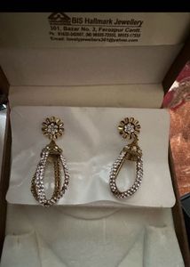 Elegant Crystal Dangle Earrings