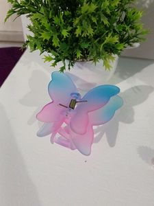 Combo Of Earrings And Butterfly Clutcher (3)
