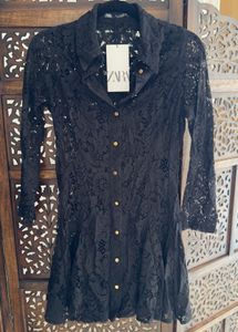 Zara Limited Edition Lace Mini Dress
