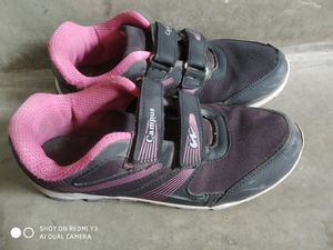 Campus Sports Shoes