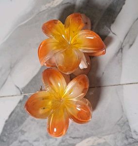 Set of 4 Flower Hair Clips