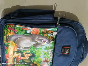Kids school bag
