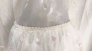 Cute Heart Embroidered Tulle Skirt