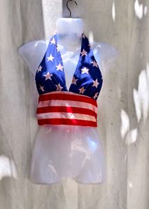 4278. American Flag Bikini Top