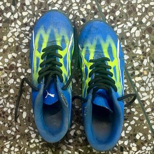 Puma Soccer Cleats (turf shoes)