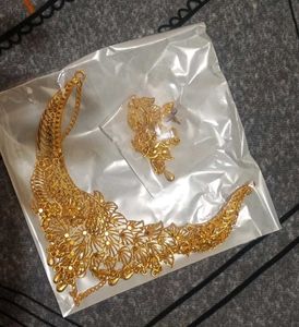 Exquisite Gold Necklace & Earring Set