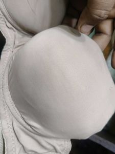 Comfortable Lightly Padded B