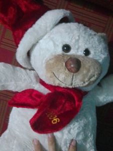 Teddy