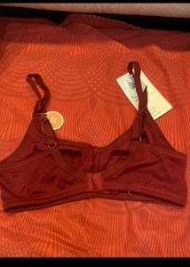 Cygnet Maroon T-Shirt Bra