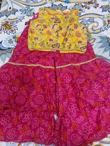 Vibrant Pink & Yellow Ethnic plazo with crop top S